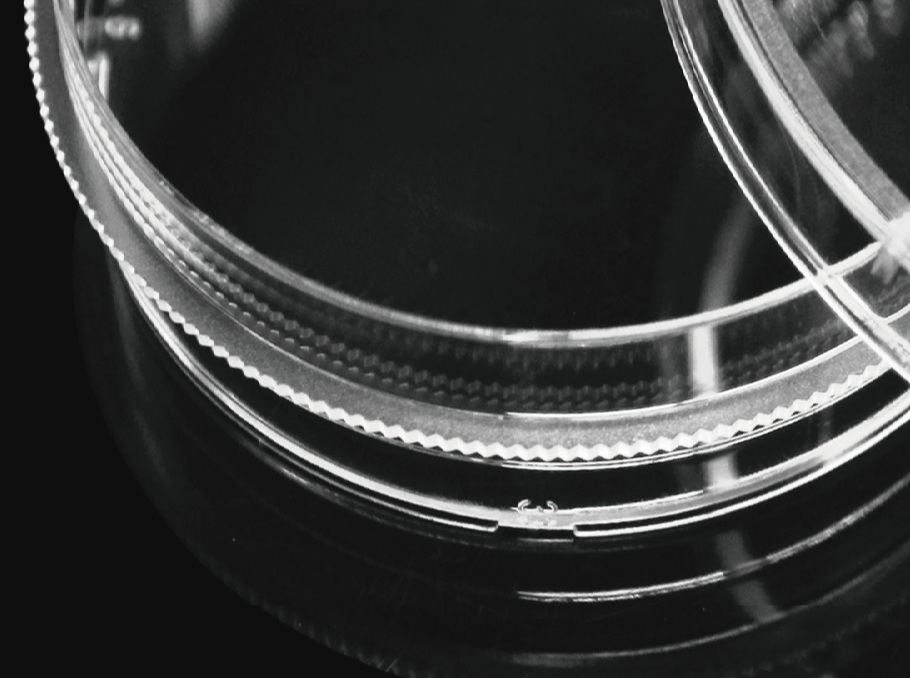 LABSELECT 분리형 90mm Petri dish